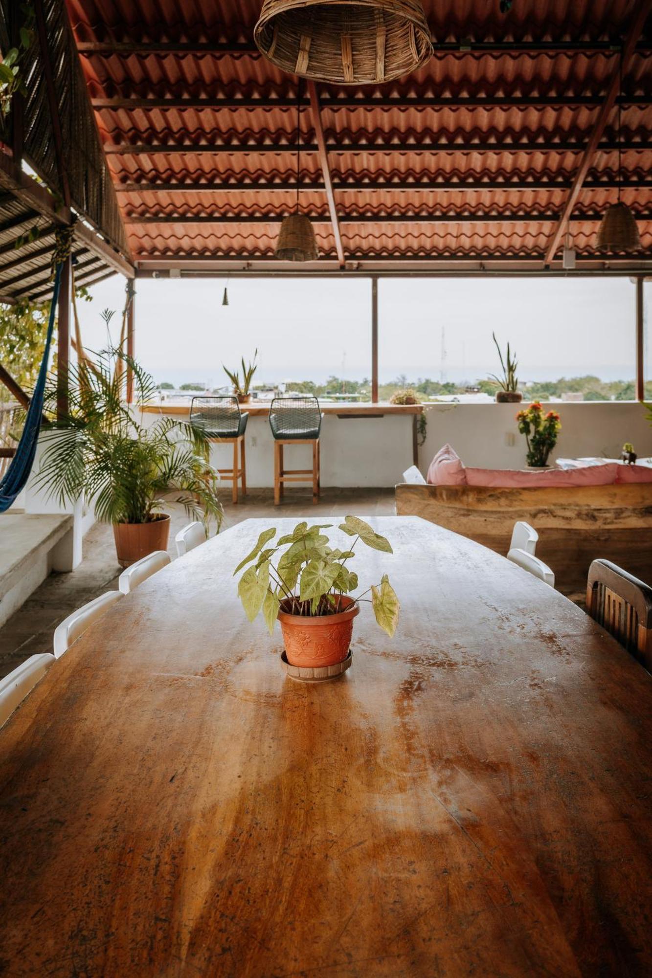 Terraza Puerto Hostel Puerto Escondido  Esterno foto